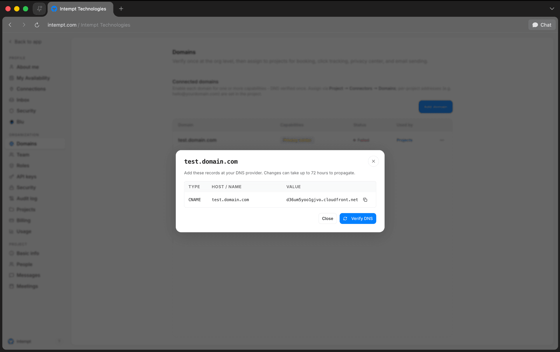 dns records dialog verify dns button - domains - Intempt documentation